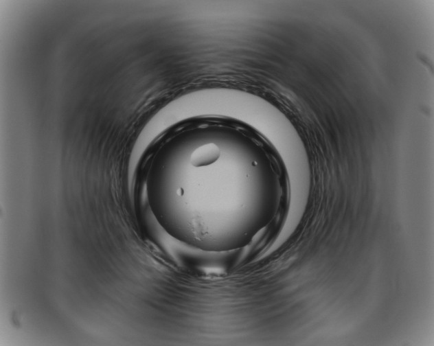 X0000096440558200801311431