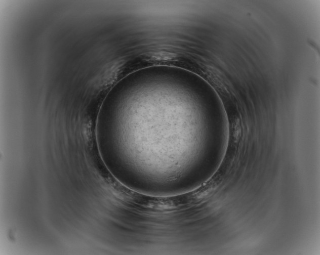 X0000096440559200801311431