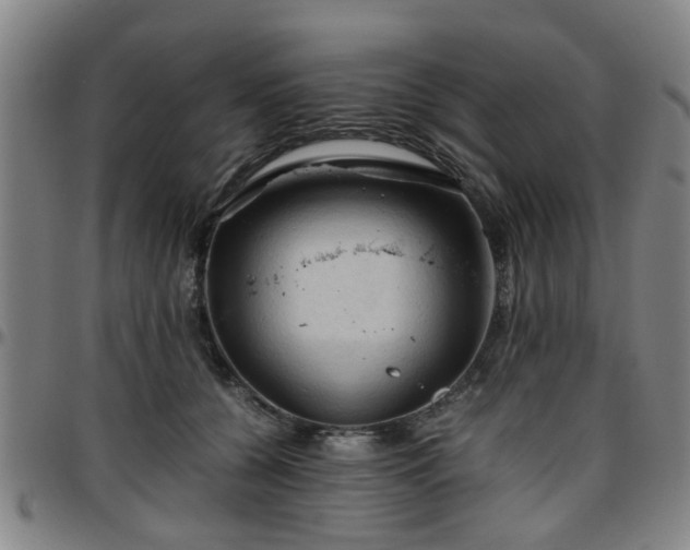 X0000096440560200801311431