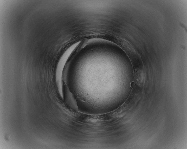 X0000096440563200801311431