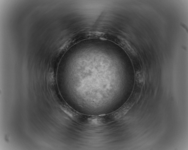 X0000096440564200801311431