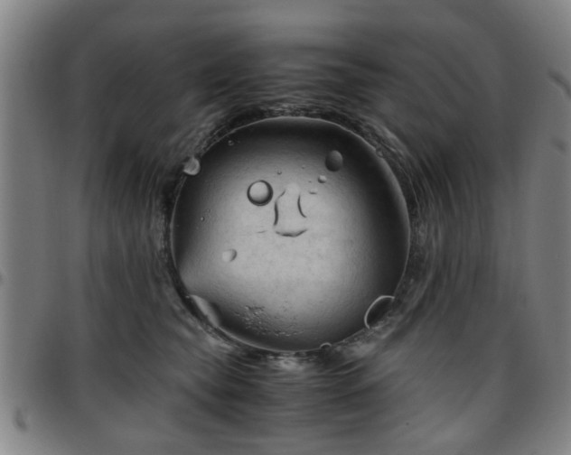 X0000096440565200801311431