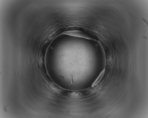 X0000096440566200801311431