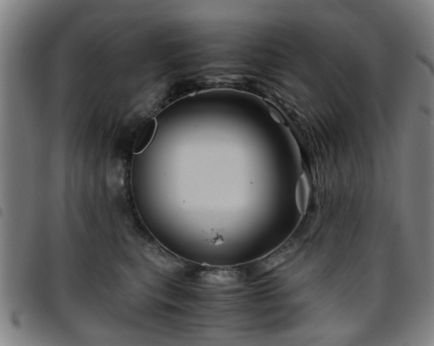 X0000096440567200801311431