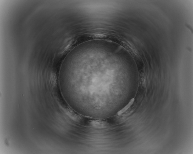 X0000096440568200801311431