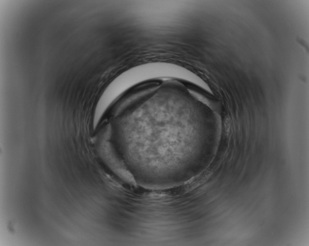 X0000096440570200801311431