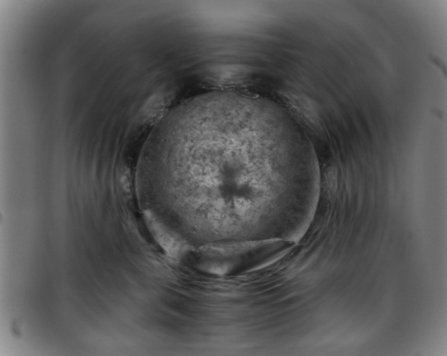 X0000096440571200801311431