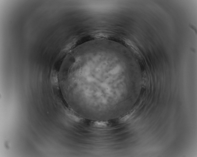 X0000096440573200801311431