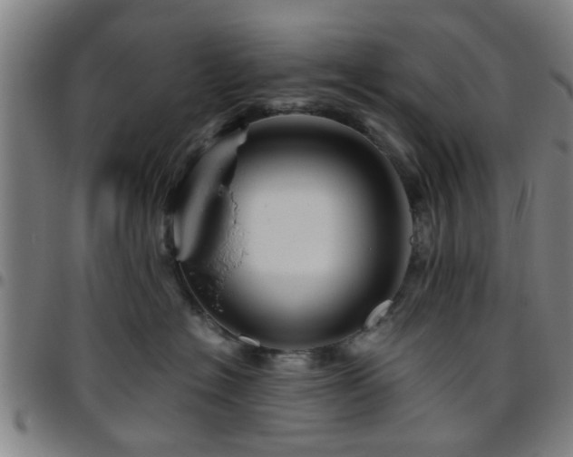 X0000096440574200801311431