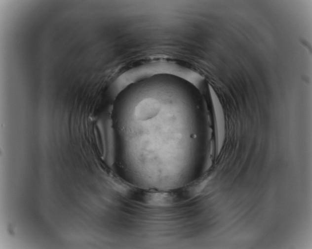 X0000096440575200801311431