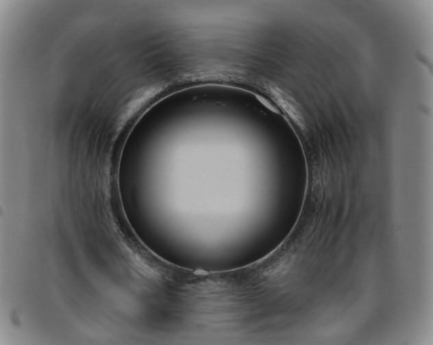 X0000096440578200801311430