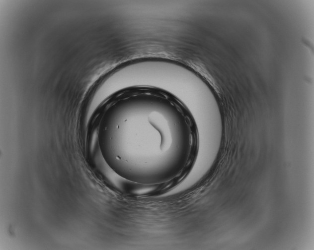 X0000096440579200801311430