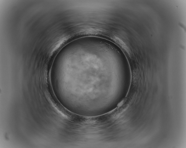 X0000096440581200801311430