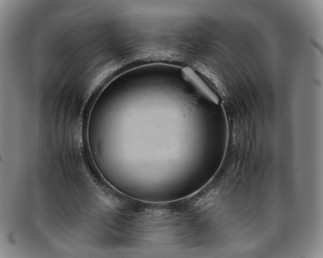 X0000096440582200801311430