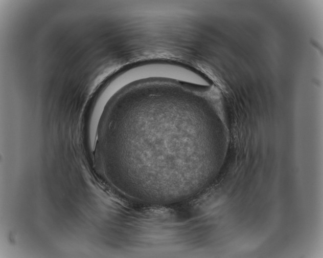 X0000096440583200801311430