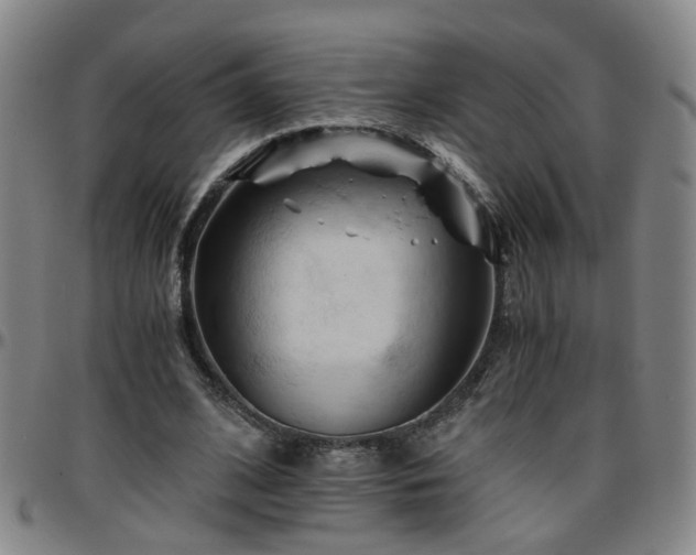 X0000096440584200801311430