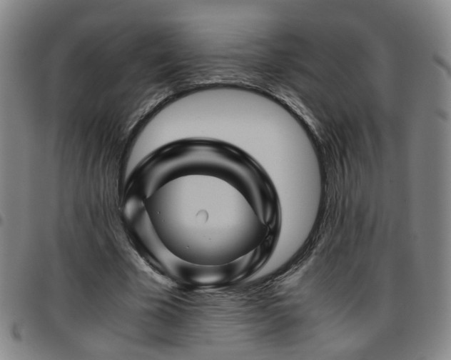 X0000096440585200801311430