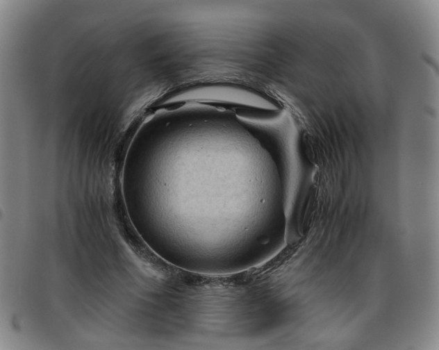 X0000096440586200801311430