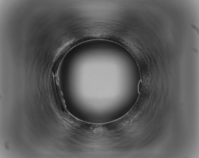 X0000096440587200801311430