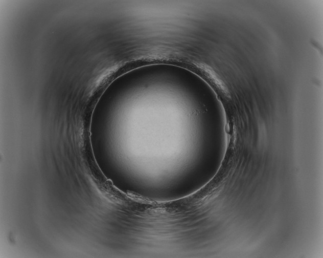 X0000096440588200801311430