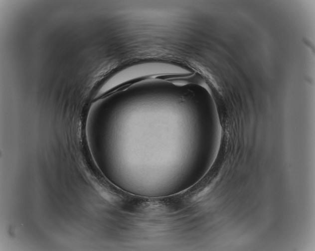 X0000096440589200801311430