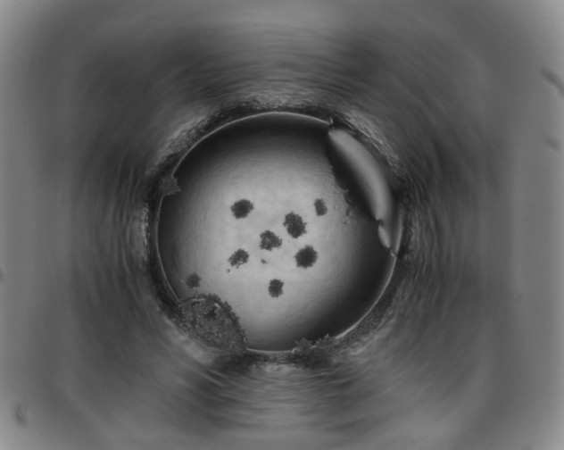 X0000096440590200801311430