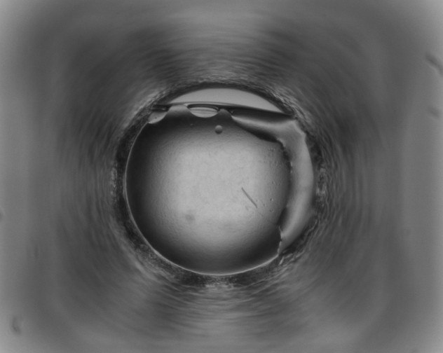 X0000096440591200801311430