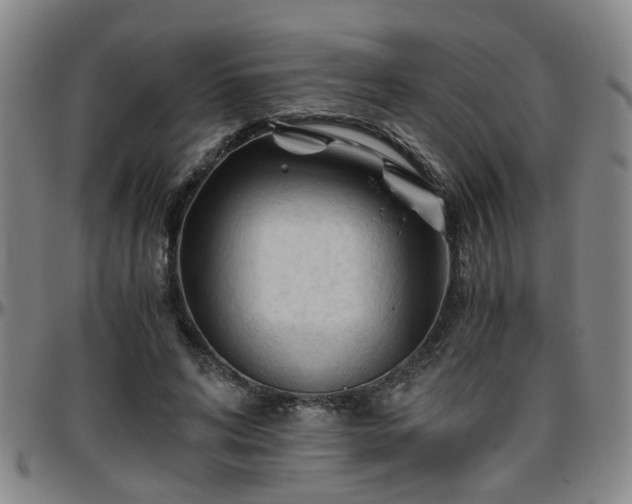 X0000096440592200801311430