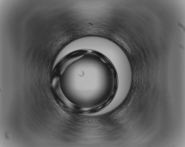 X0000096440593200801311430