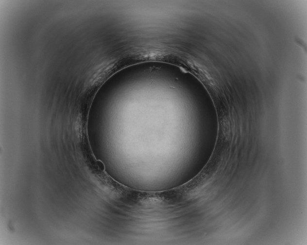 X0000096440594200801311430