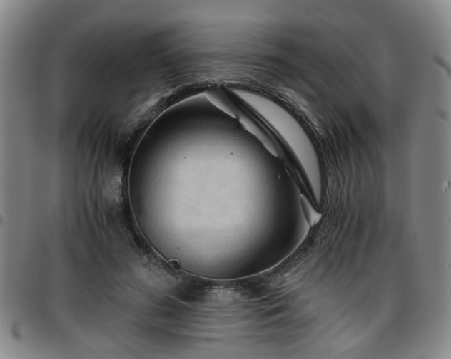 X0000096440596200801311430