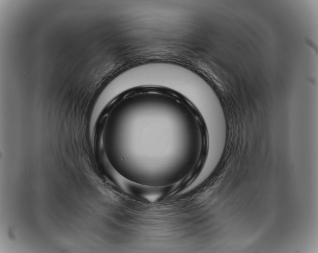 X0000096440597200801311430