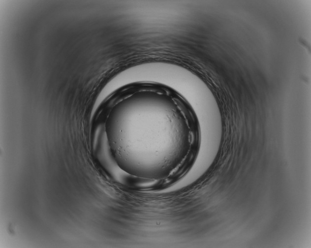 X0000096440601200801311430