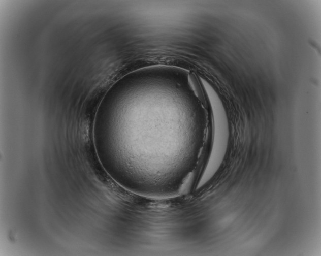 X0000096440602200801311430