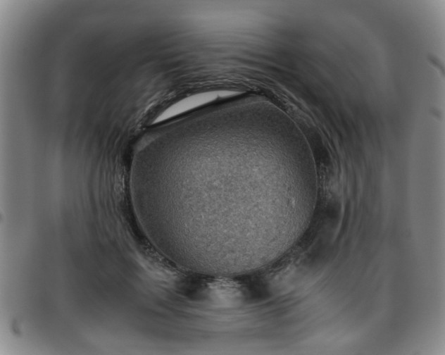 X0000096440603200801311430