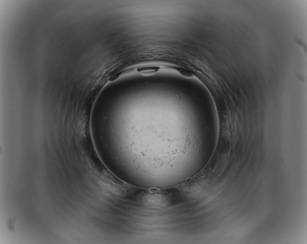 X0000096440604200801311430