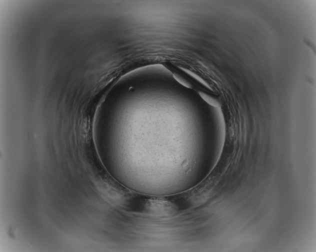 X0000096440605200801311430