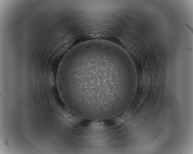 X0000096440606200801311430