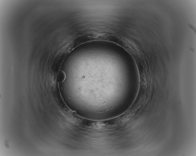 X0000096440607200801311430