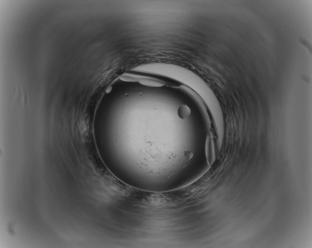 X0000096440608200801311430