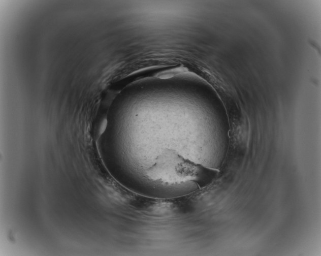 X0000096440609200801311430