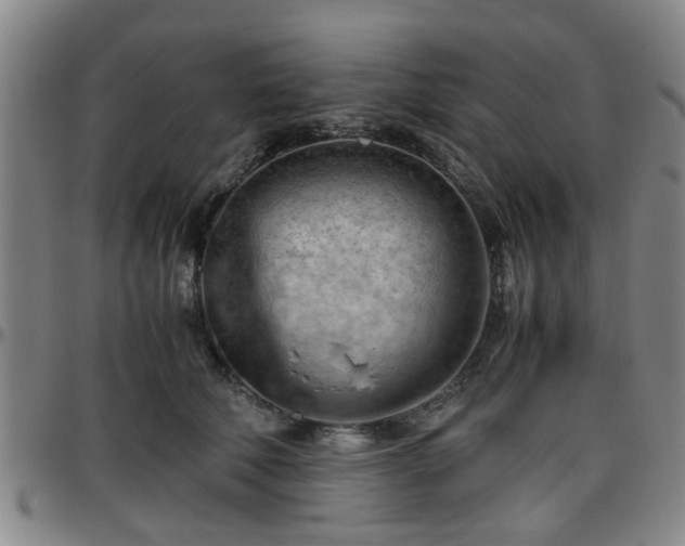 X0000096440610200801311430