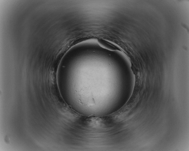 X0000096440612200801311430