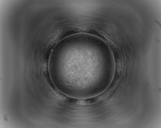 X0000096440613200801311430