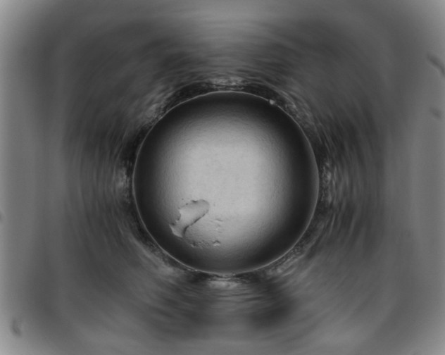 X0000096440614200801311430