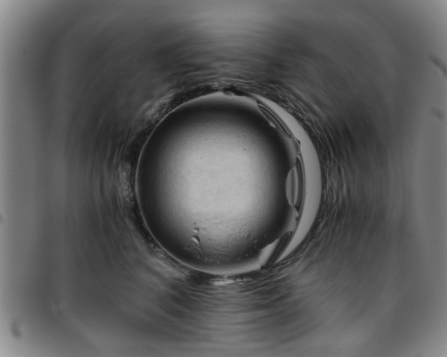 X0000096440616200801311430