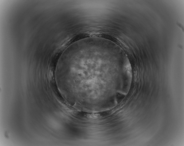 X0000096440618200801311430