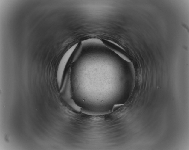 X0000096440619200801311430