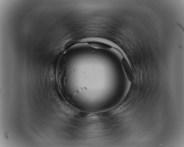 X0000096440620200801311430