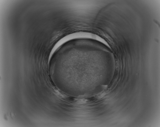 X0000096440621200801311430